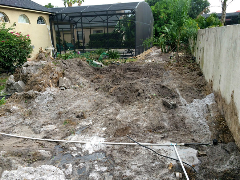 Residential Bamboo Removal Orlando